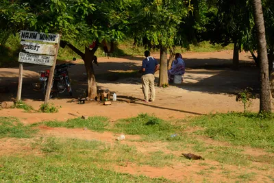 DSC_8504 (Large).JPG